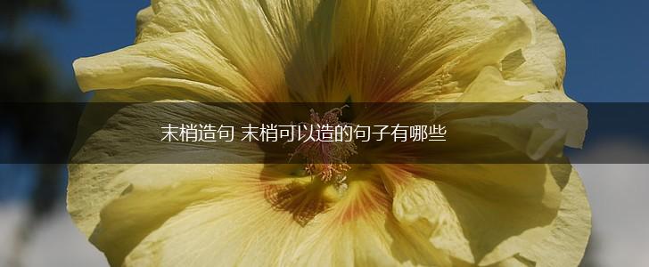 末梢造句 末梢可以造的句子有哪些,第1张