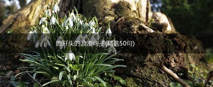 愿开头的浪漫句子(精选50句),第1张