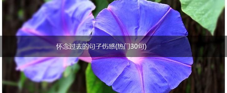 怀念过去的句子伤感(热门30句),第1张