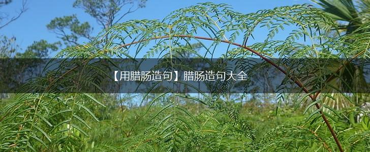 【用腊肠造句】腊肠造句大全,第1张
