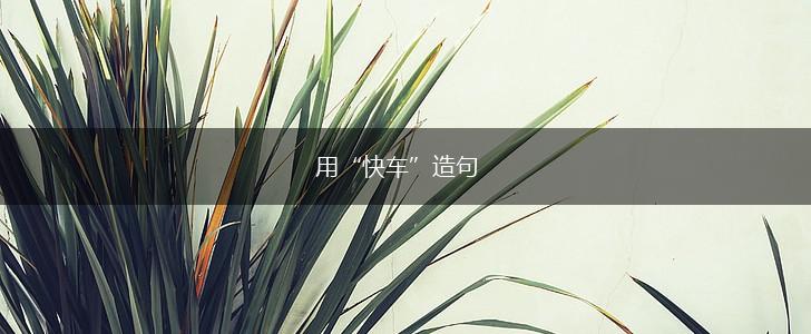用“快车”造句,第1张