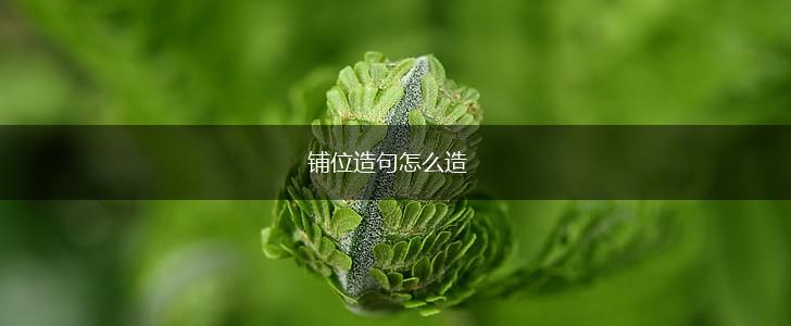 铺位造句怎么造,第1张