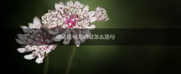 确证造句,用确证怎么造句,第1张