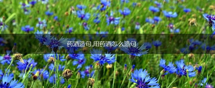 药酒造句,用药酒怎么造句,第1张
