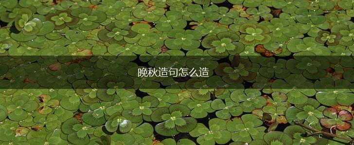晚秋造句怎么造,第1张