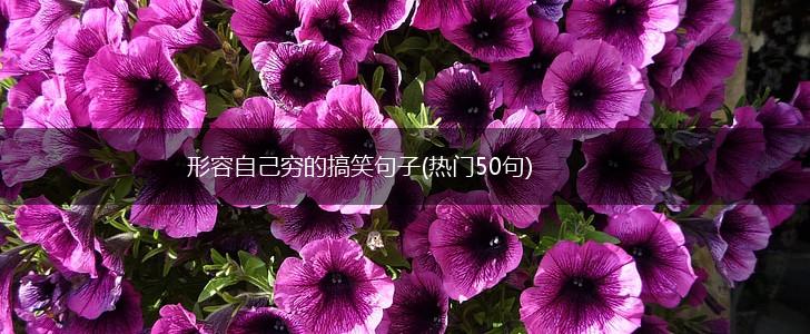 形容自己穷的搞笑句子(热门50句),第1张