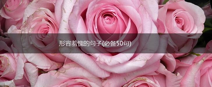 形容羞愧的句子(必备50句),第1张