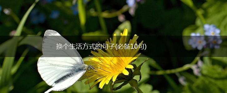 换个生活方式的句子(必备10句),第1张