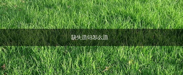 缺失造句怎么造,第1张