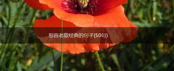 形容老歌经典的句子(50句),第1张