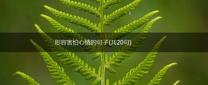 形容害怕心情的句子(共20句),第1张