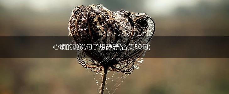 心烦的说说句子想静静(合集50句),第1张