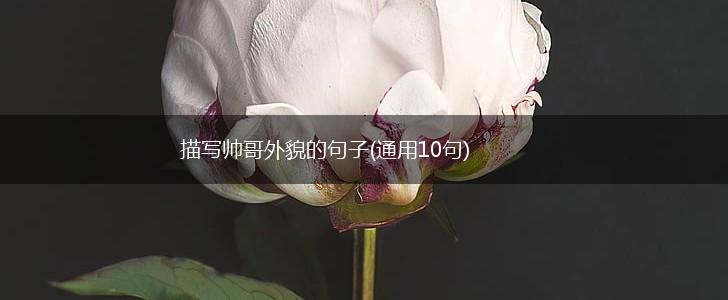 描写帅哥外貌的句子(通用10句),第1张