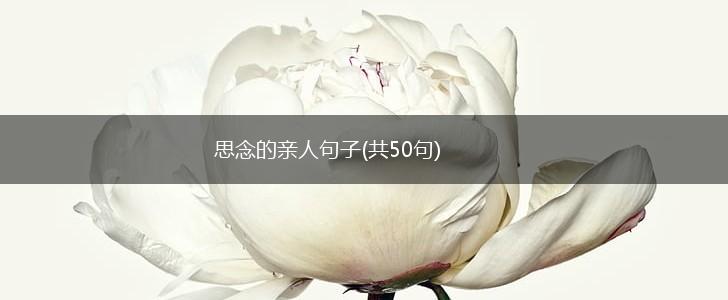 思念的亲人句子(共50句),第1张