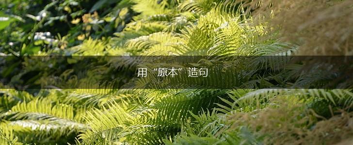 用“原本”造句,第1张