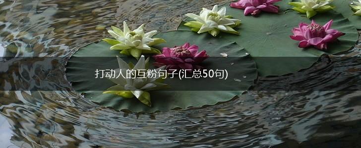 打动人的互粉句子(汇总50句),第1张