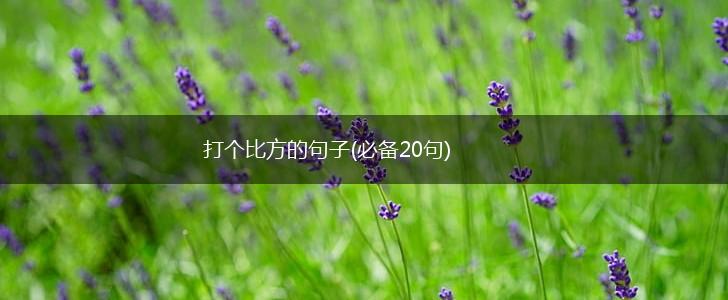 打个比方的句子(必备20句),第1张
