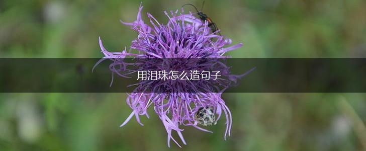 用泪珠怎么造句子,第1张