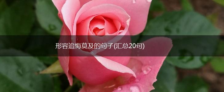 形容追悔莫及的句子(汇总20句),第1张