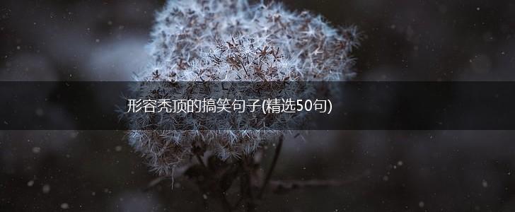 形容秃顶的搞笑句子(精选50句),第1张