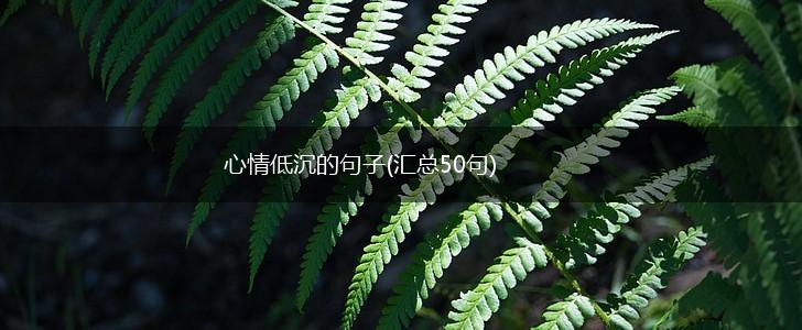 心情低沉的句子(汇总50句),第1张