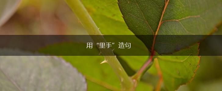 用“里手”造句,第1张