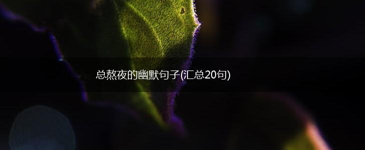 总熬夜的幽默句子(汇总20句),第1张