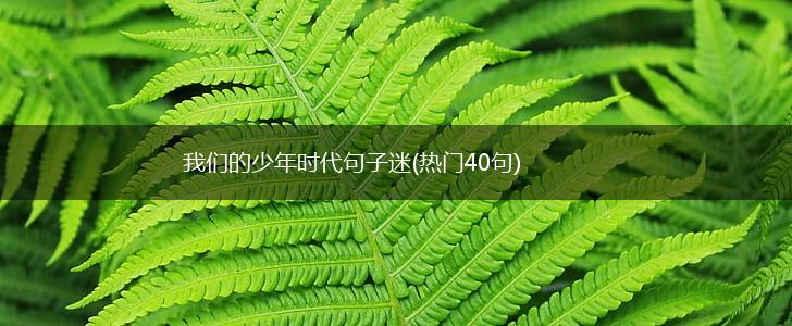 我们的少年时代句子迷(热门40句),第1张