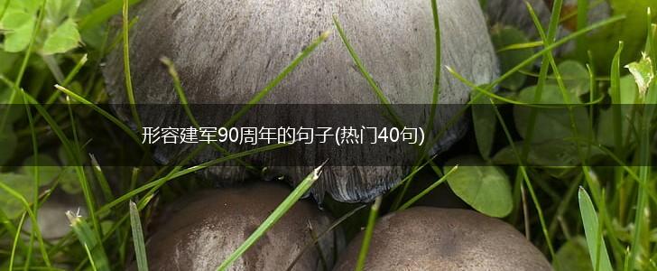 形容建军90周年的句子(热门40句),第1张