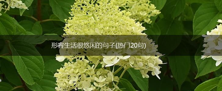 形容生活很悠闲的句子(热门20句),第1张