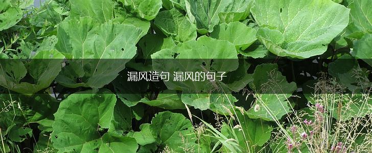 漏风造句 漏风的句子,第1张