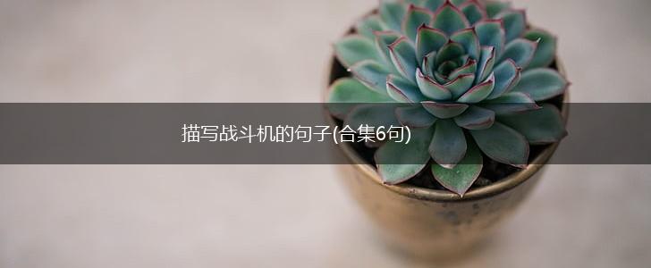 描写战斗机的句子(合集6句),第1张