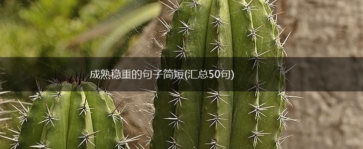 成熟稳重的句子简短(汇总50句),第1张