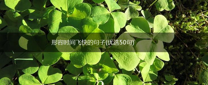 形容时间飞快的句子(优选50句),第1张
