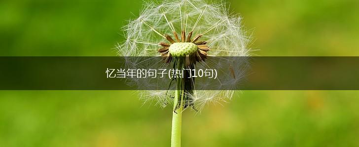 忆当年的句子(热门10句),第1张