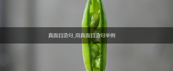 真面目造句_用真面目造句举例,第1张