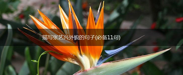 描写张艺兴外貌的句子(必备11句),第1张