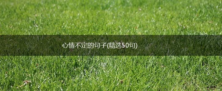 心情不定的句子(精选50句),第1张