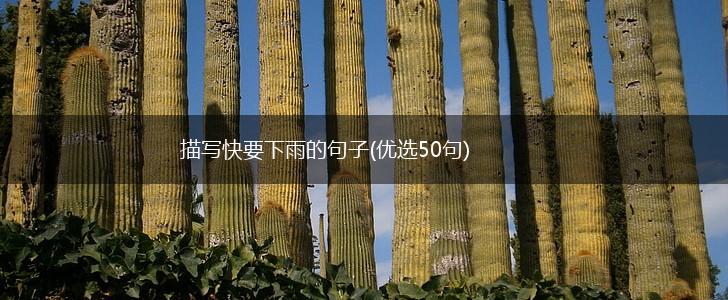 描写快要下雨的句子(优选50句),第1张