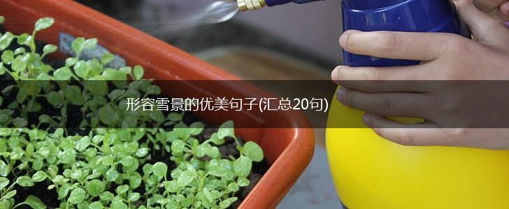 形容雪景的优美句子(汇总20句),第1张