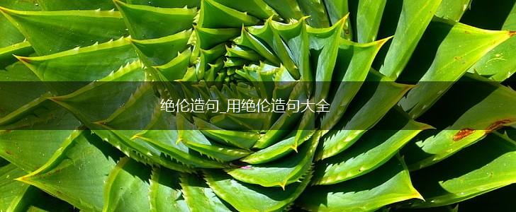 绝伦造句_用绝伦造句大全,第1张
