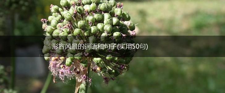 形容风景的词语和句子(实用50句),第1张