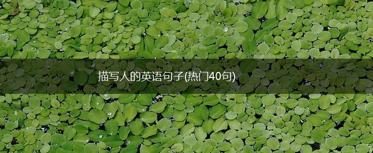 描写人的英语句子(热门40句),第1张