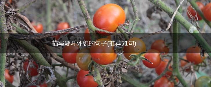 描写哪吒外貌的句子(推荐51句),第1张