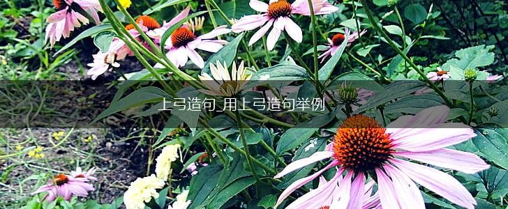 上弓造句_用上弓造句举例,第1张