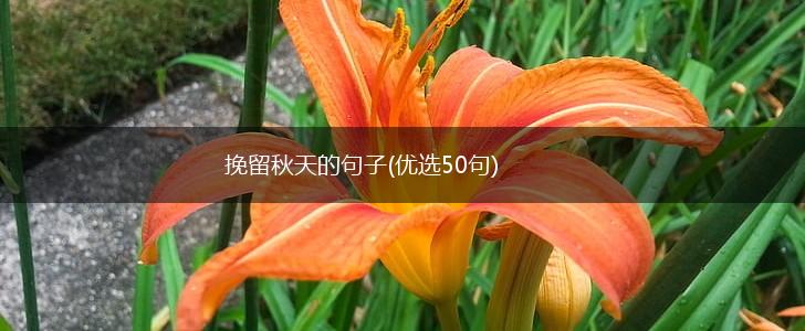 挽留秋天的句子(优选50句),第1张