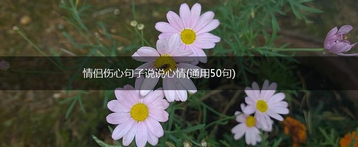 情侣伤心句子说说心情(通用50句),第1张