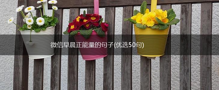 微信早晨正能量的句子(优选50句),第1张