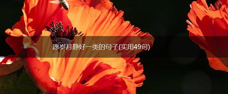 愿岁月静好一类的句子(实用49句),第1张