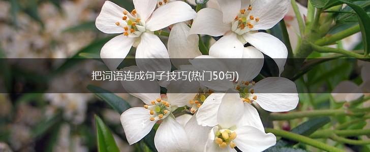 把词语连成句子技巧(热门50句),第1张
